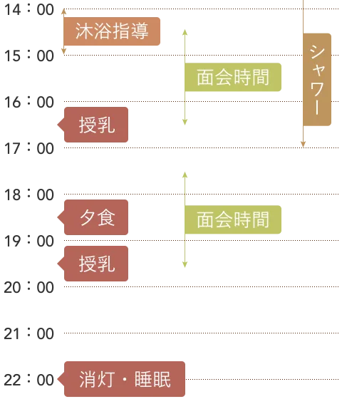 1日のスケジュール: 後半