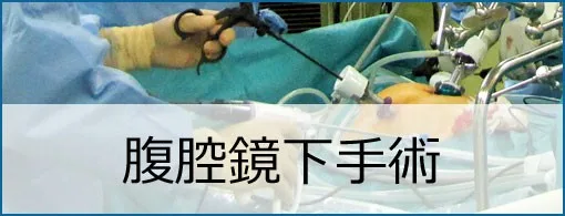 腹腔鏡下手術